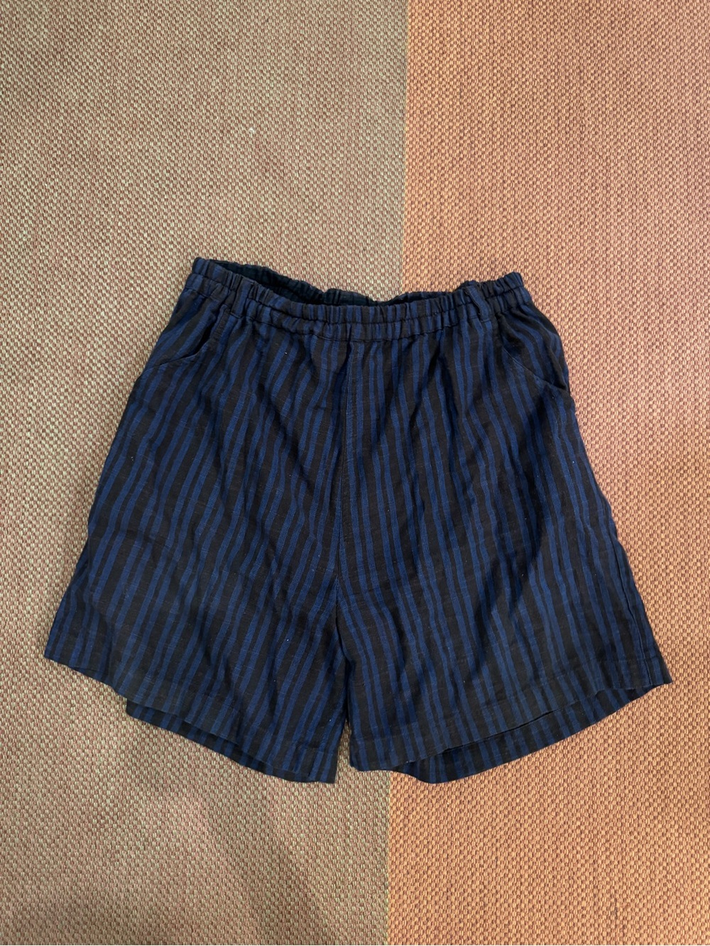 Ace & Jig Black and Blue Striped shorts
